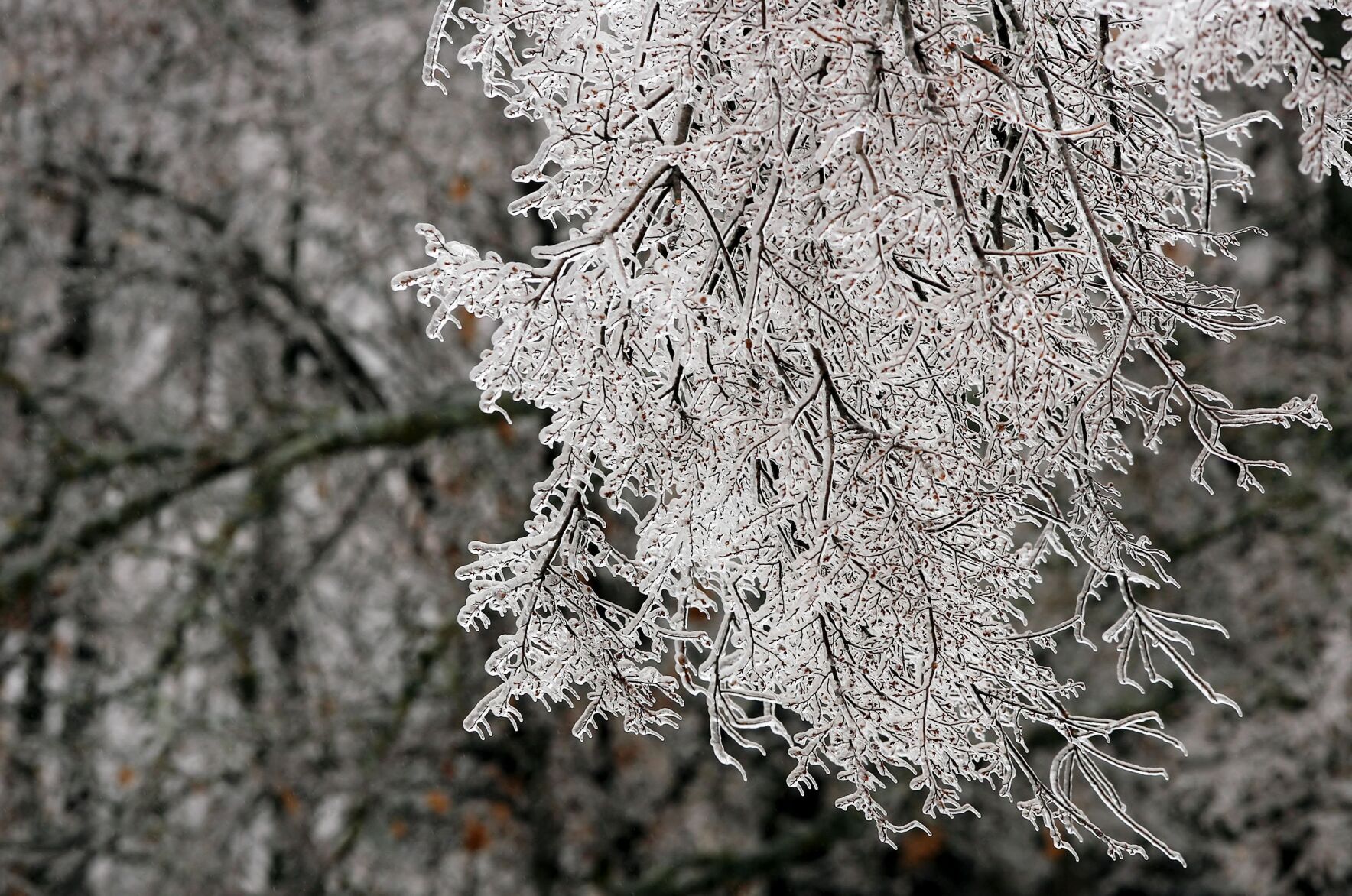 January 2007 ice storm